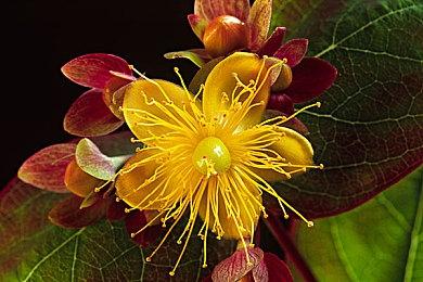 像素风格互动小说游戏《直到那时》现已在Steam平台正式发售